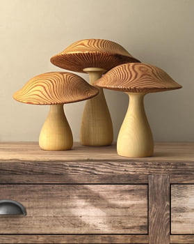 Cogumelos Fantásticos 